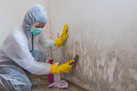 Best Residential Mold Inspection & Testing  in Southgate, FL